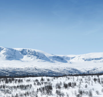 Hallingskarvet sno