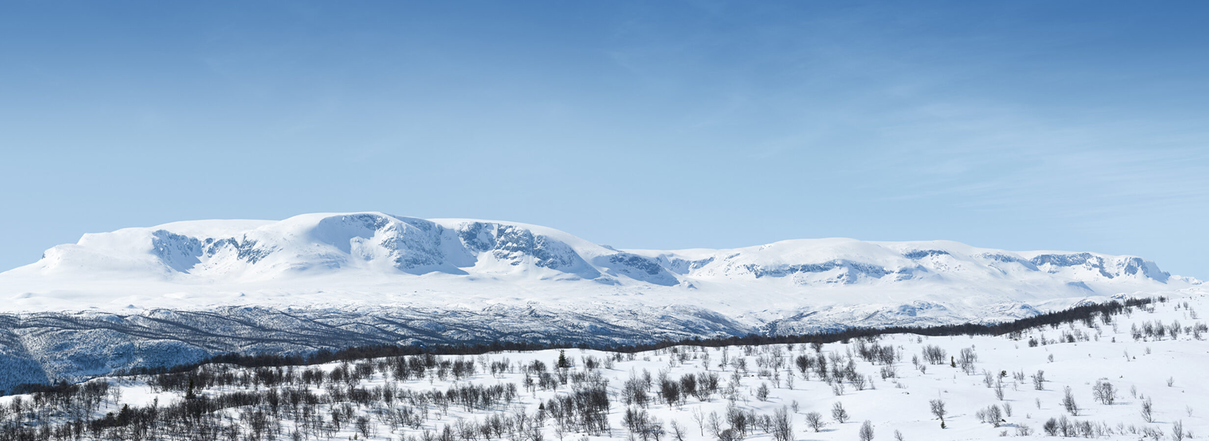 Hallingskarvet sno