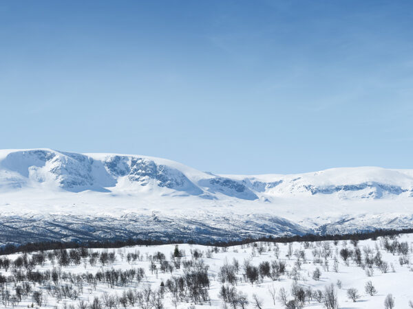 Hallingskarvet sno