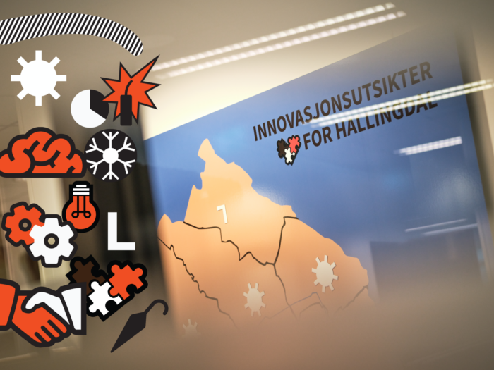 Innovasjonsutsikter for Hallingdal – wall decor