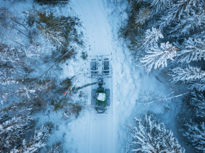 Winter forest from the drone